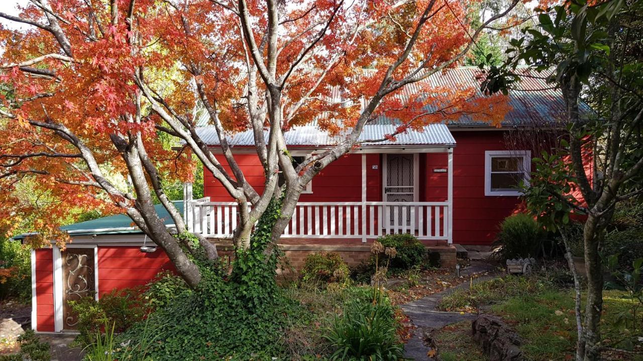 Akarana Cottage Leura Exteriér fotografie